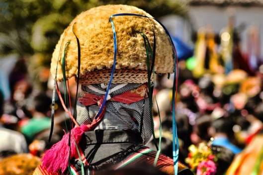 A back view of the head of a Parachico, 15 Jan 2015, Chiapa de Corzo / © Moisés Escobar M @ Wikipedia