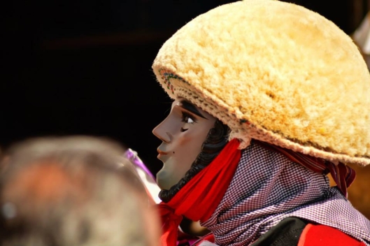 A profile of the head of a Parachico, 15 Jan 2015, Chiapa de Corzo / © Moisés Escobar M @ Wikipedia
